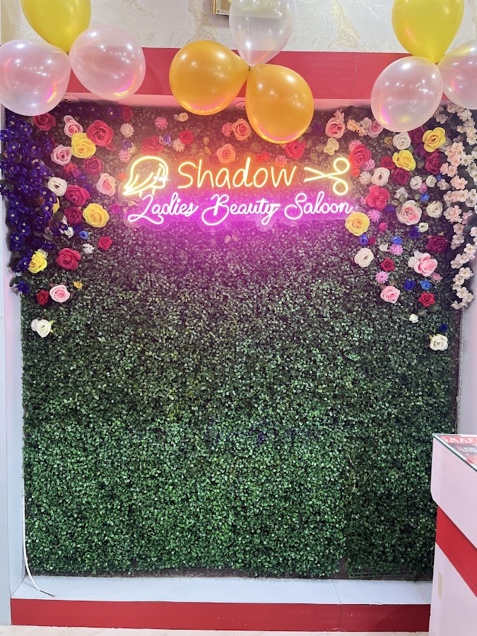 Inside Shadow Ladies Beauty Salon, Bijoygarh